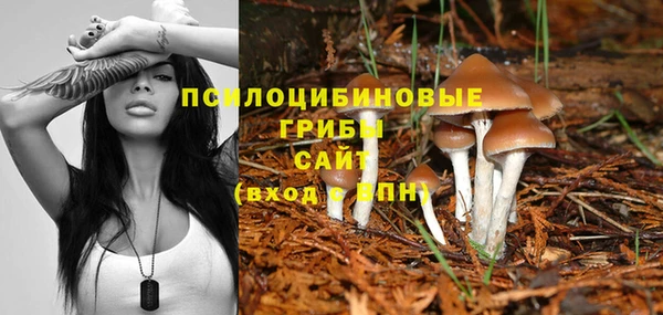 ALPHA-PVP Вяземский