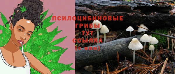 2c-b Вязьма